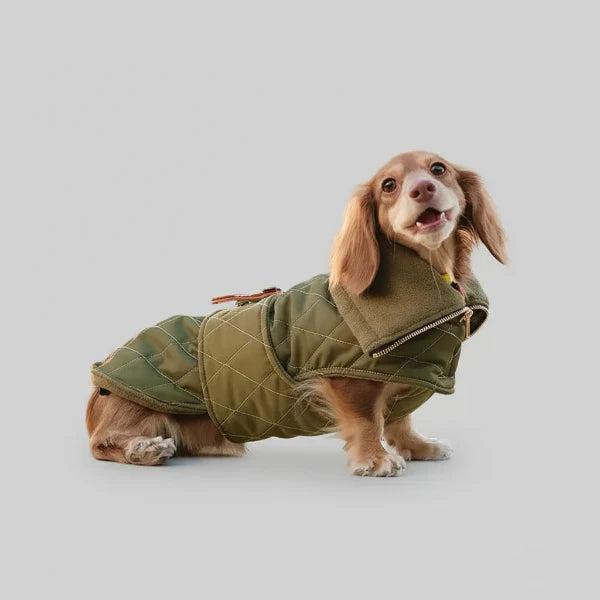 Manteau d'hiver kaki Oscar & Plume : vêtement pour teckel chaud, imperméable et réglable