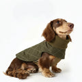 Oscar et Plume manteau pour teckel matelassé vert olive avec col zippé et doublure chaude pour chien