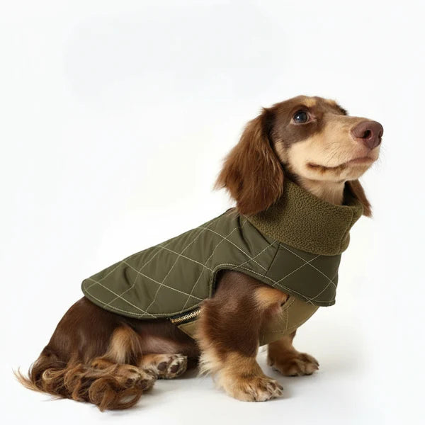 Oscar et Plume manteau pour teckel matelassé vert olive avec col zippé et doublure chaude pour chien