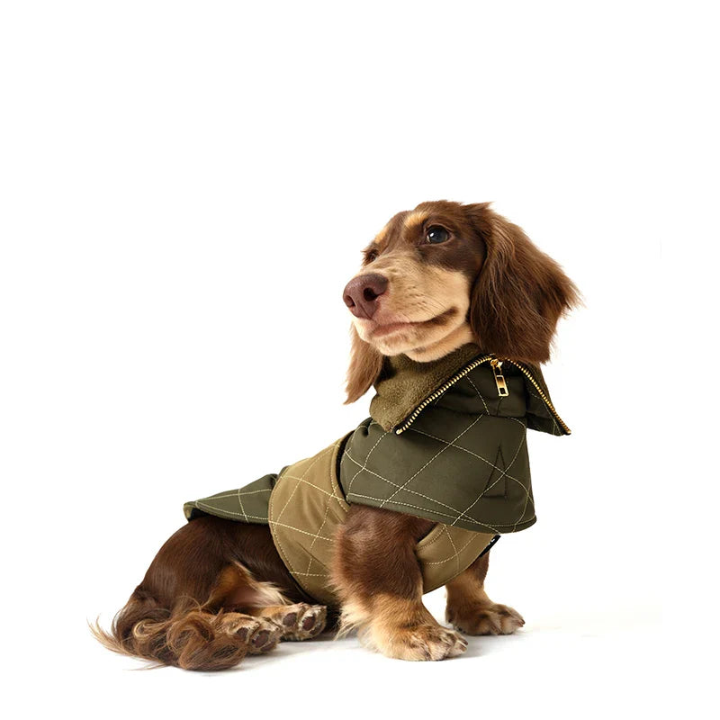 Manteau d'hiver kaki Oscar & Plume : vêtement pour teckel chaud, imperméable et réglable