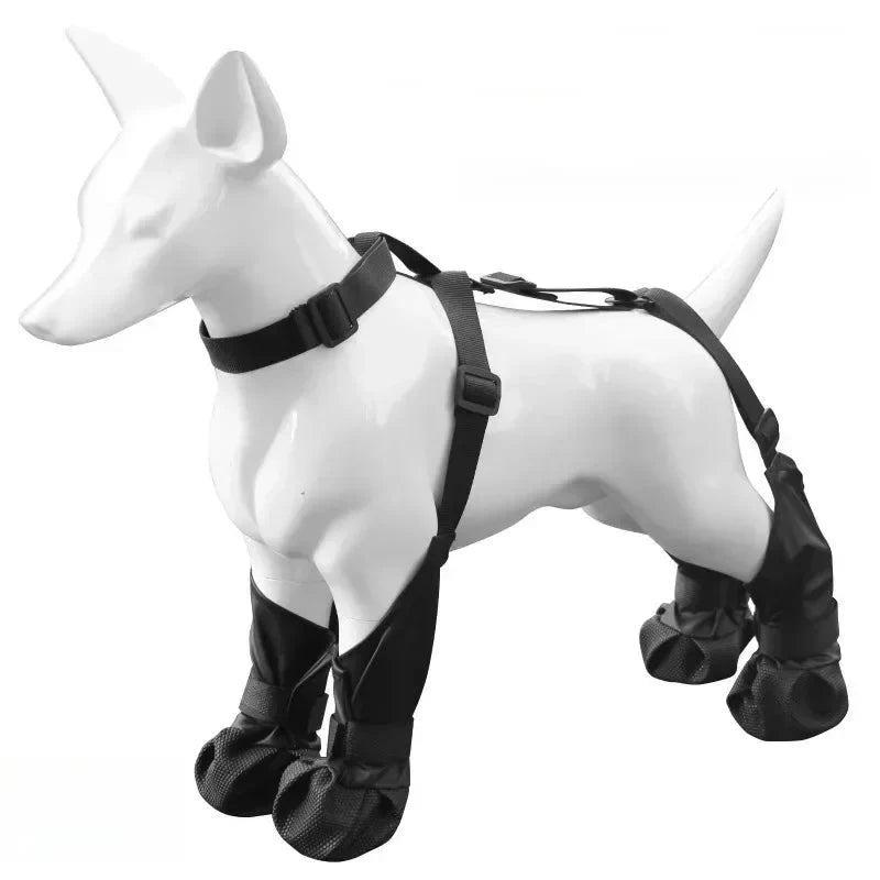 Chaussures Étanches Et Résistantes Pour Chien