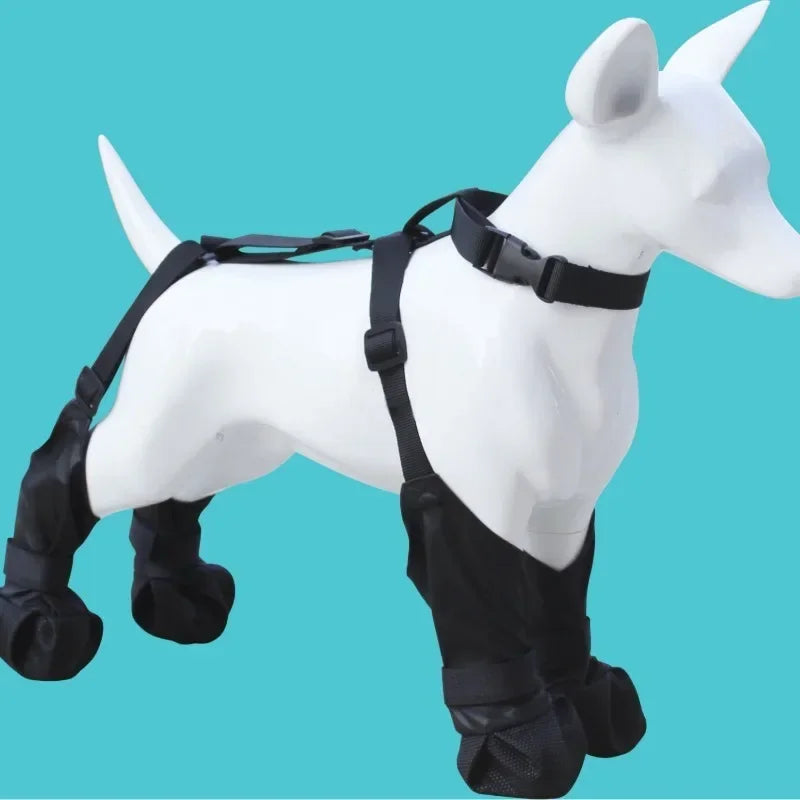 Chaussures Étanches Et Résistantes Pour Chien