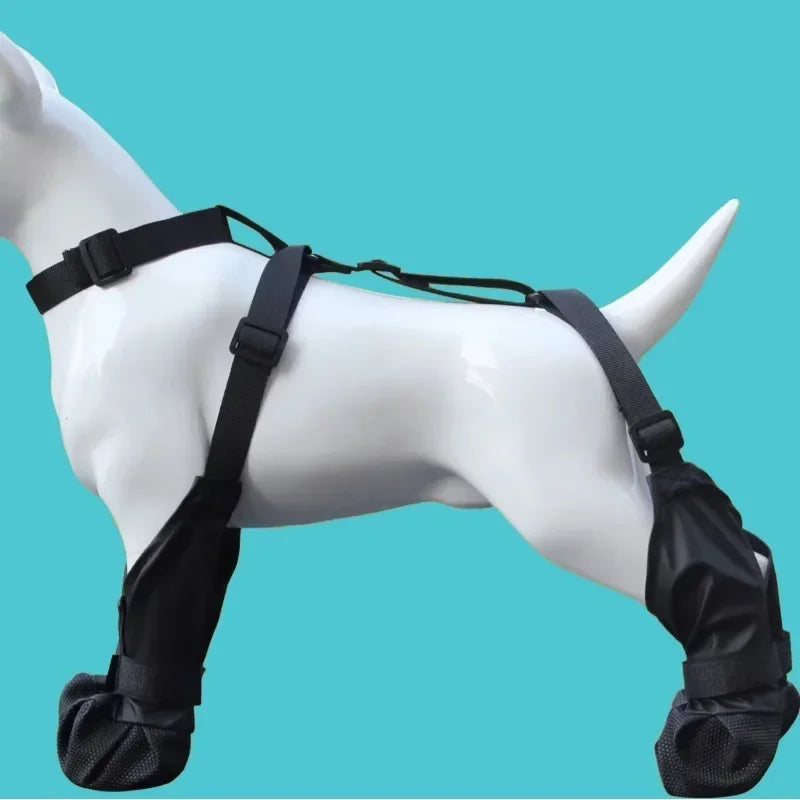 Chaussures Étanches Et Résistantes Pour Chien