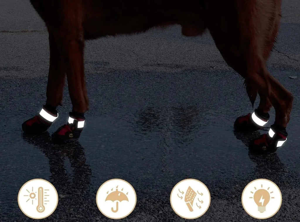 Chaussures Antidérapantes Pour Chien