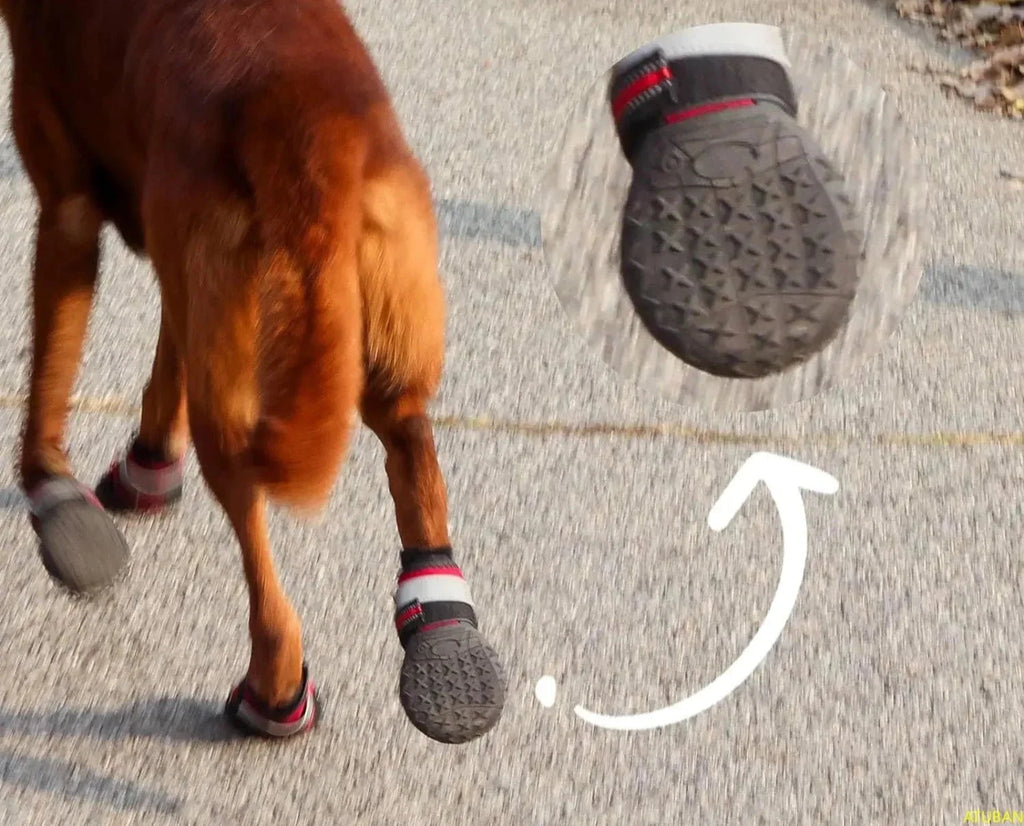 Chaussures Antidérapantes Pour Chien