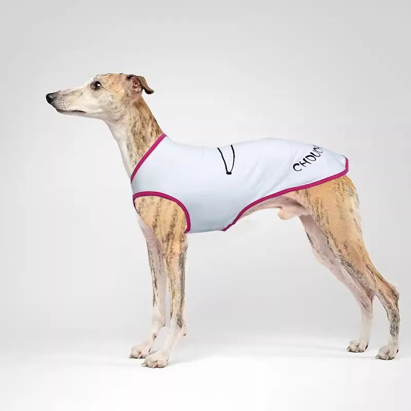 T-Shirt Respirant Pour Lévrier Et Whippet