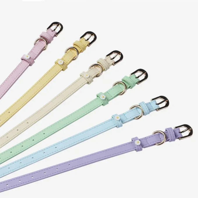 Collier Elégant Et Confortable Pour Chat
