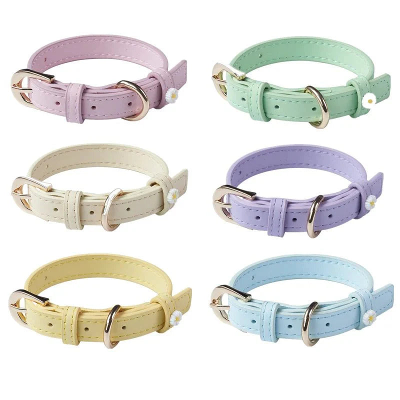 Collier Elégant Et Confortable Pour Chat