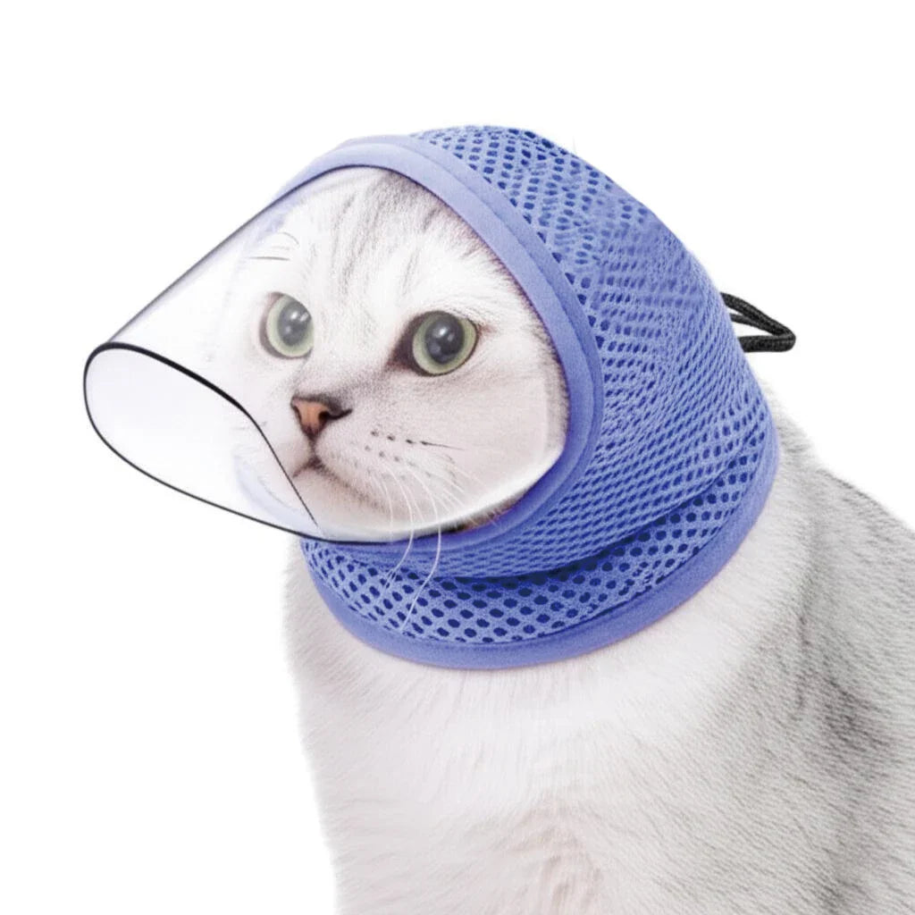 Collerette anti léchage chat en maille bleue pour empêcher les léchages indésirables