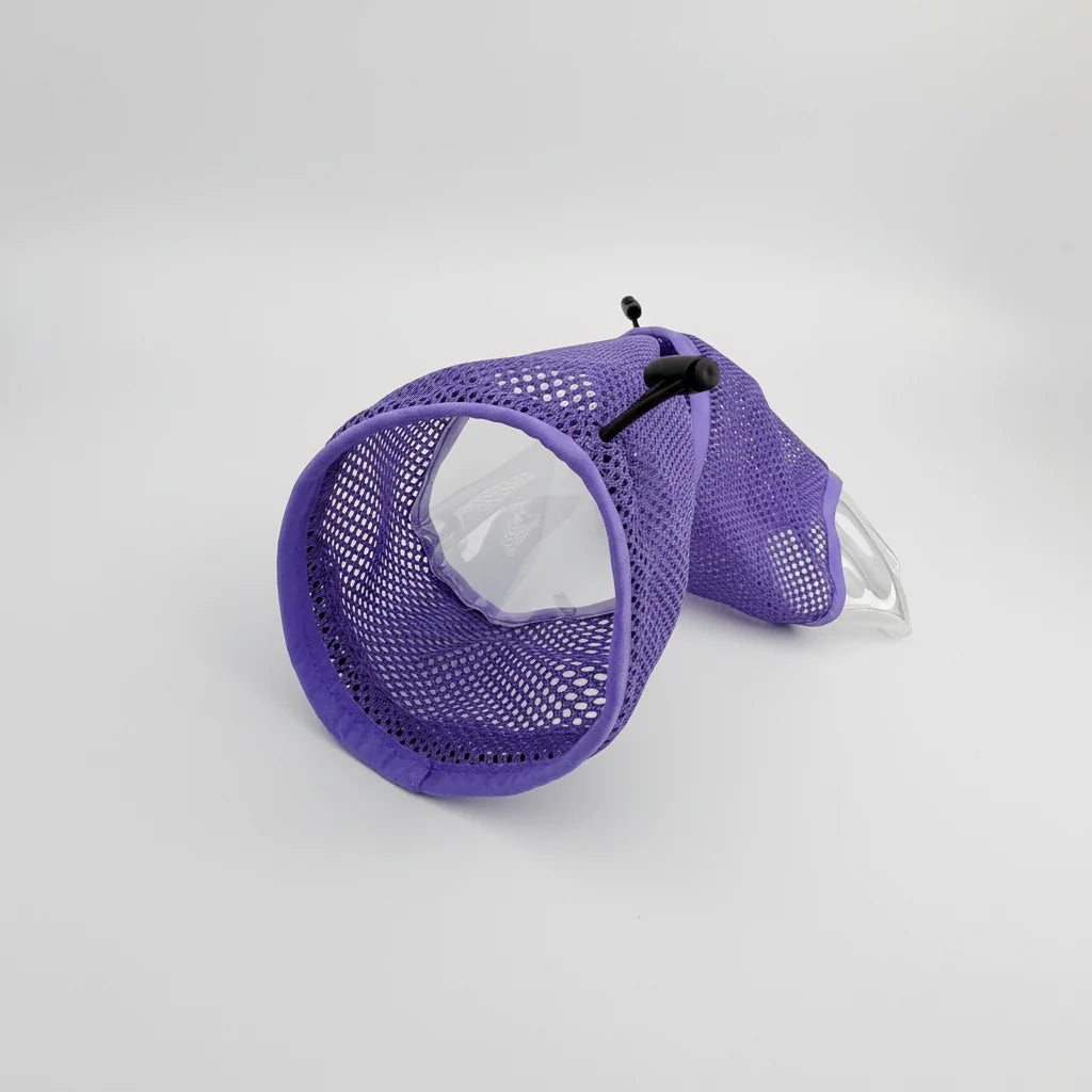 Collerette Pour Chat Anti Léchage Pratique