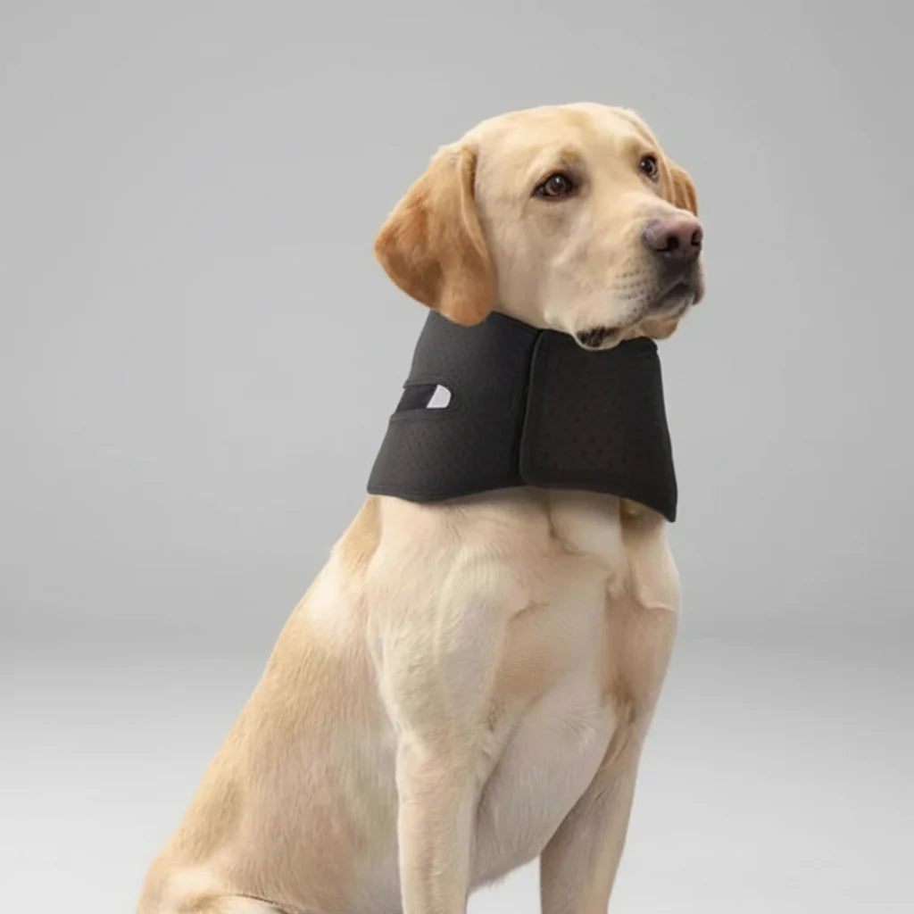 Collerette Confort Anti Léchage Pour Chien