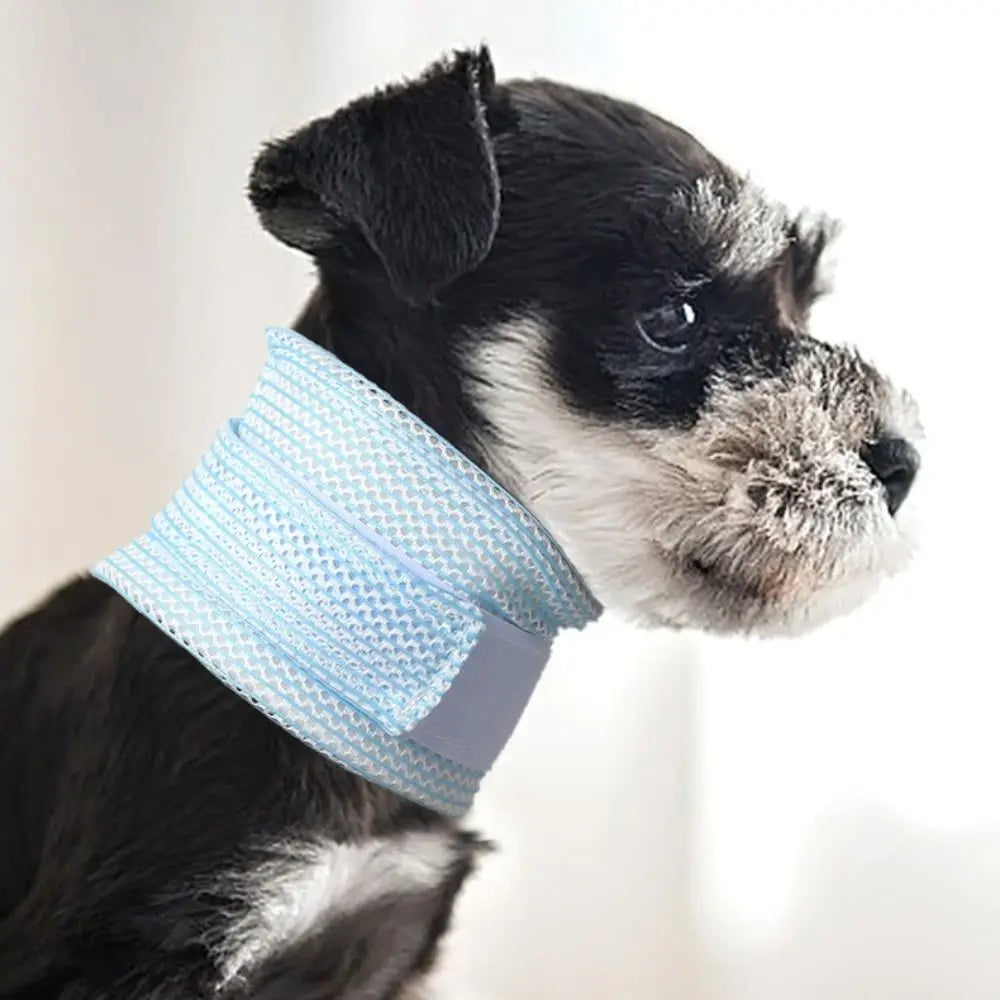 Collerette Pour Chat En Maille Douce Et Respirante