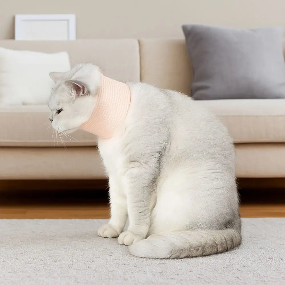 Collerette Pour Chat En Maille Douce Et Respirante
