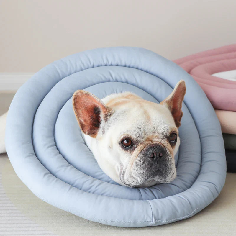 Collerette Douce Pour Petit Chien Et Chat
