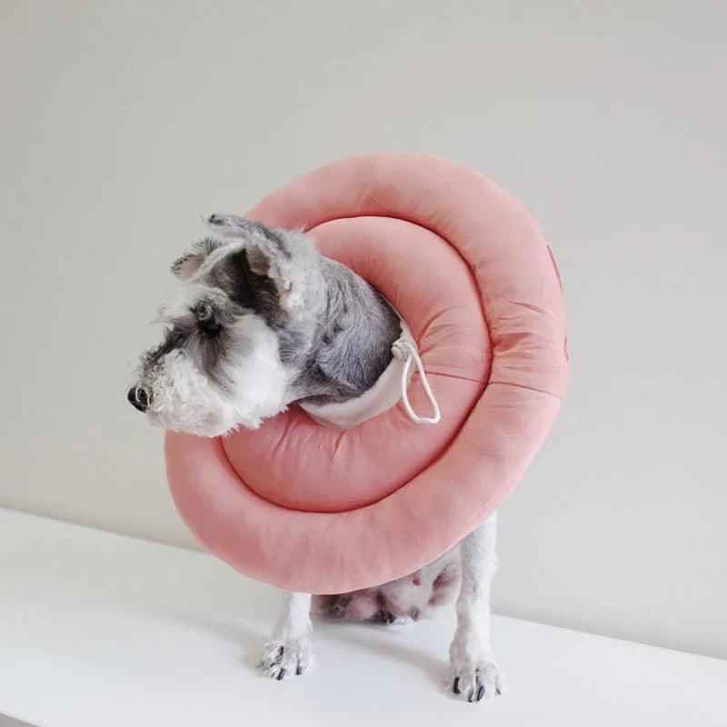 Collerette Douce Pour Petit Chien Et Chat