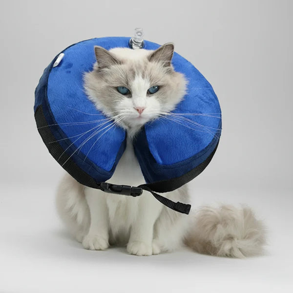 Collerette Gonflable Réglable Pour Chien Et Chat