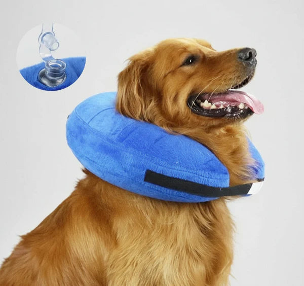 Collerette Gonflable Réglable Pour Chien Et Chat