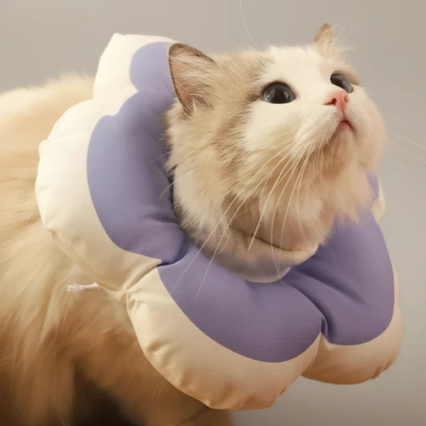 Collerette Imperméable Pour Chat Confortable