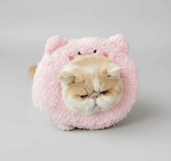 Collerette Pour Chat Confortable Et Douce