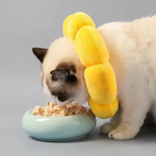 Collerette De Protection Fleur Pour Chat
