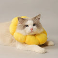 Collerette de protection fleur pour chat - Les Bonnes Affaires