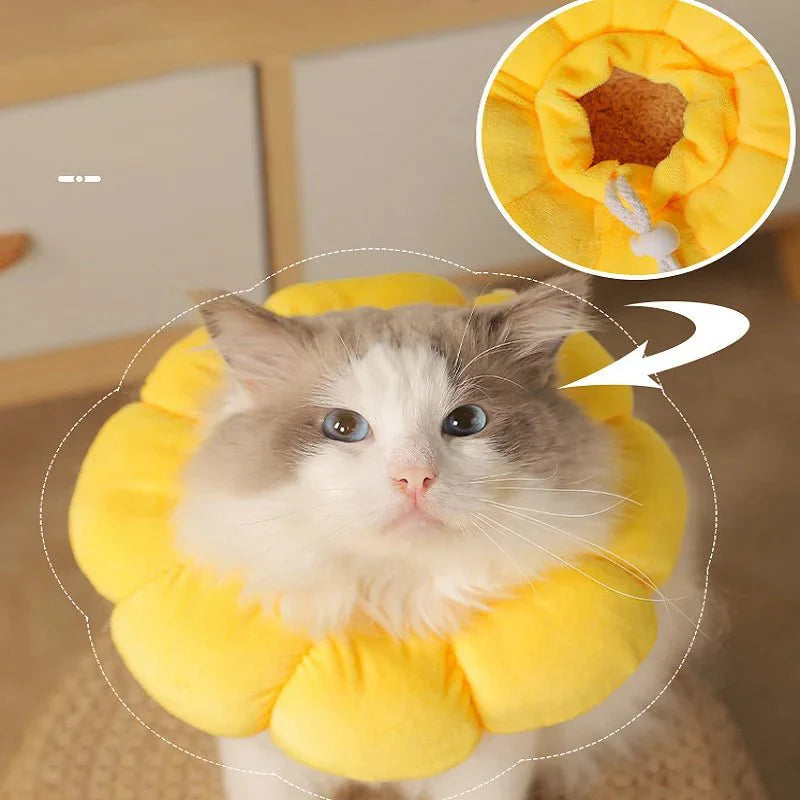 Collerette de protection fleur pour chat - Les Bonnes Affaires
