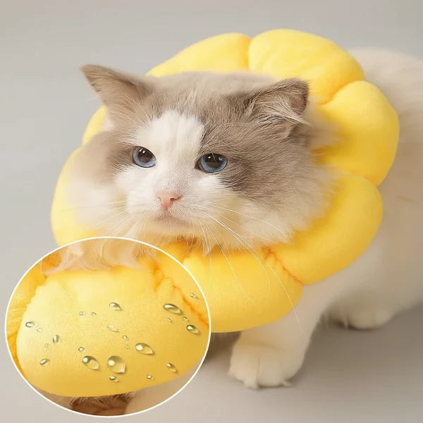 Collerette de protection fleur pour chat - Les Bonnes Affaires