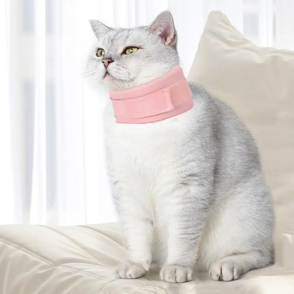 Collerette Réglable Souple Pour Chat Et Chien