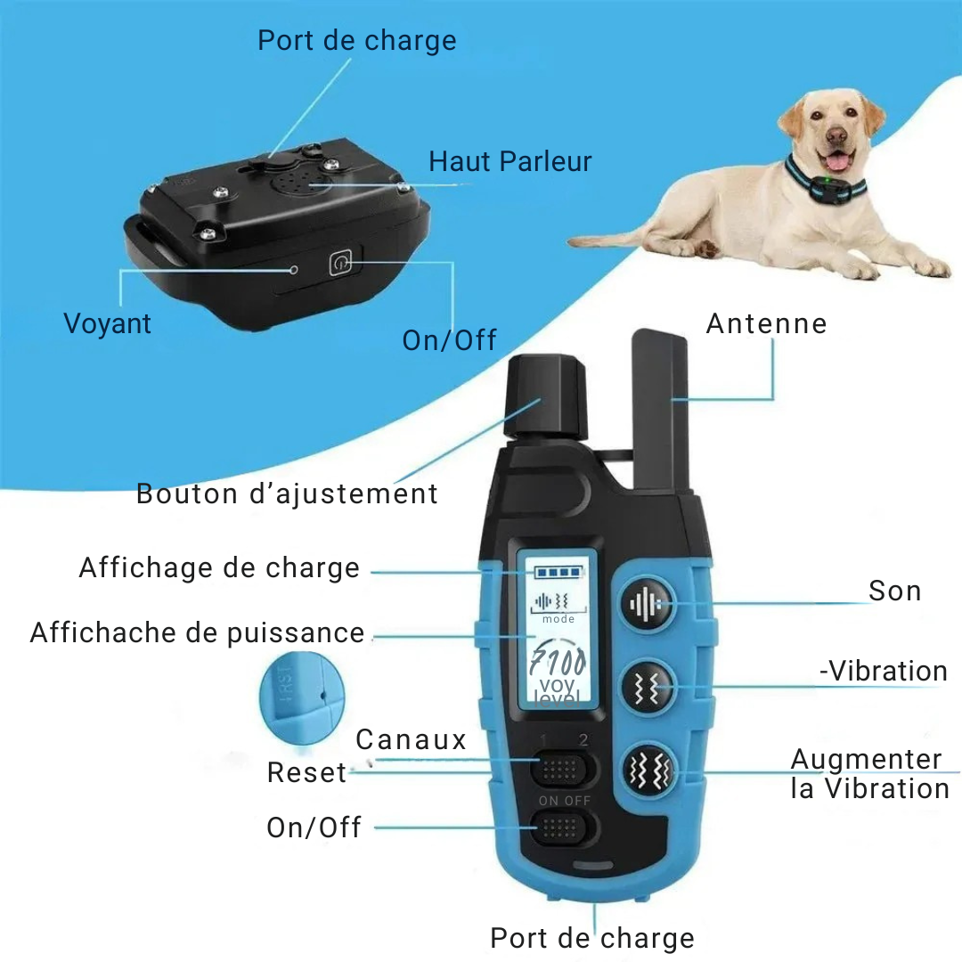 Collier Anti-Aboiement Étanche Pour Chien
