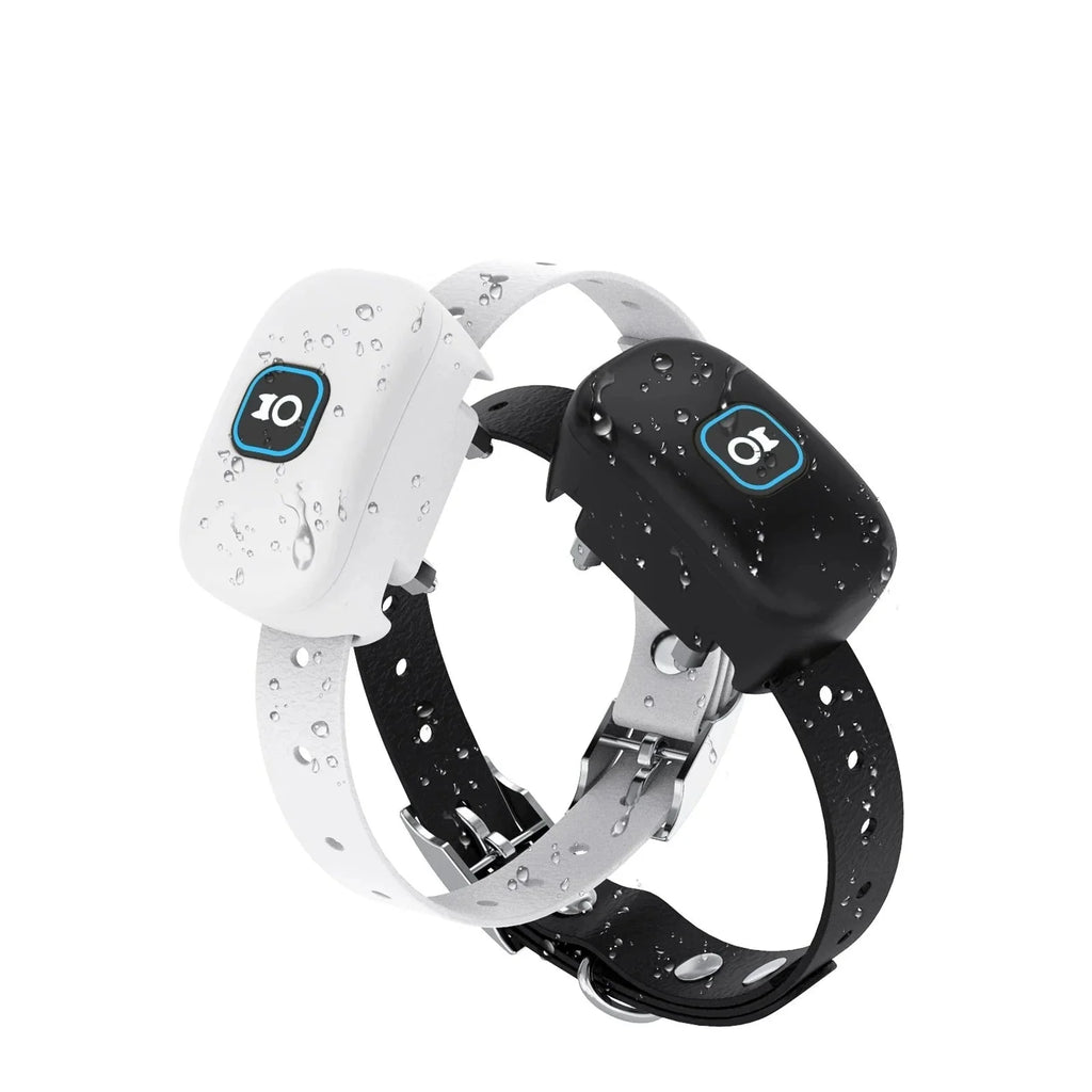 Collier anti fugue pour chien