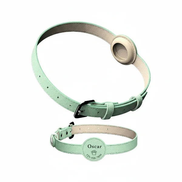 Collier avec emplacement Airtag vert menthe ajustable pour animaux avec gravure personnalisée