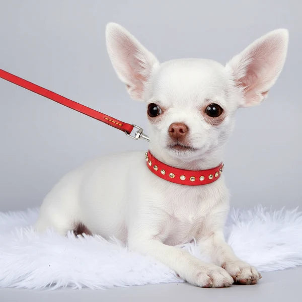 Collier Chic Perles Et Strass Pour Chien