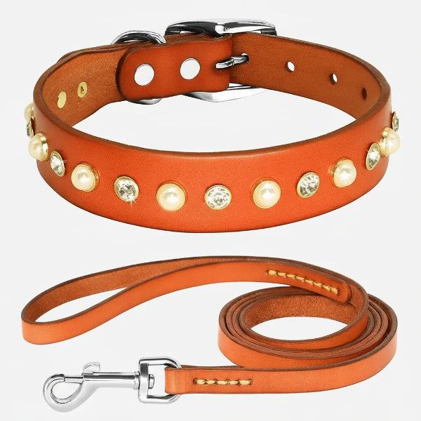 Collier chic chien chat en cuir marron avec perles et strass orné d'une laisse assortie