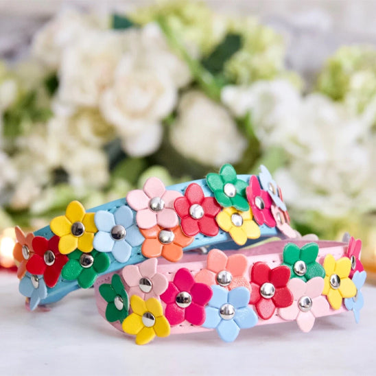 Collier chien - Fleuria™