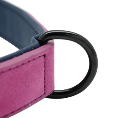 Collier Chien Cuir