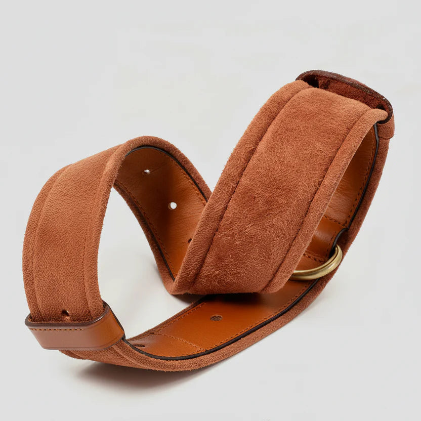 Collier En Cuir Avec Emplacement AirTag Pour Chien