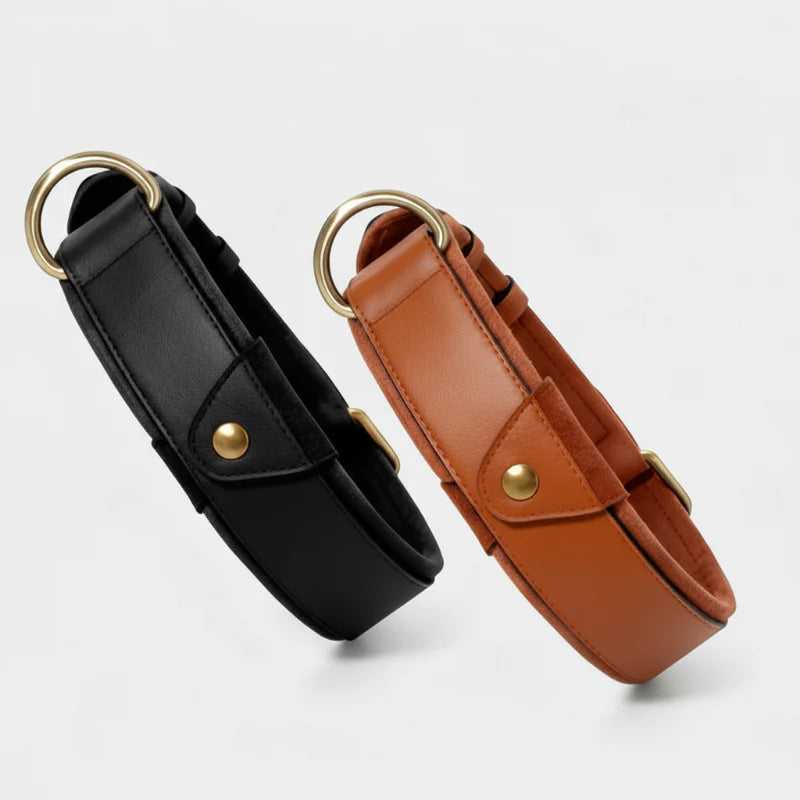 Collier En Cuir Avec Emplacement AirTag Pour Chien