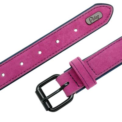 Collier Chien Cuir