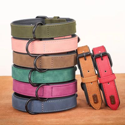 Collier Chien Cuir