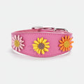 Collier chien cuir marguerite rose décoré de fleurs jaunes, oranges et roses pour chiens stylés