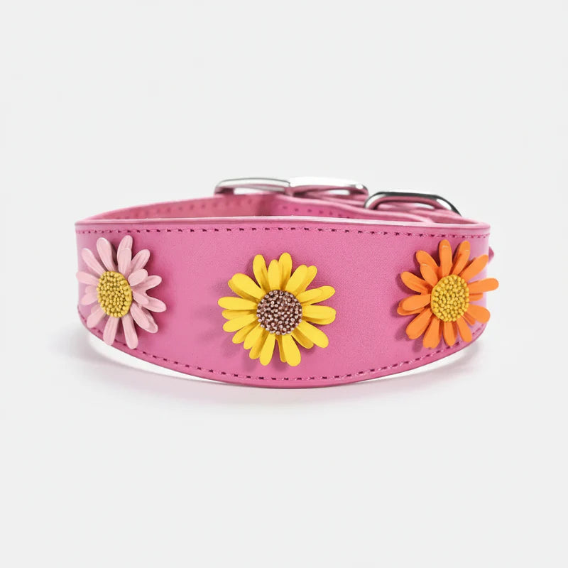 Collier chien cuir marguerite rose décoré de fleurs jaunes, oranges et roses pour chiens stylés