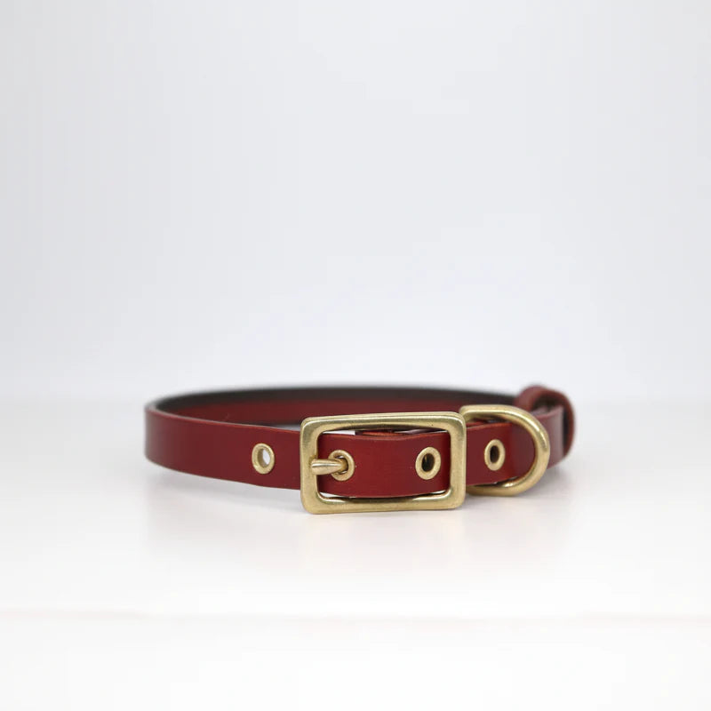 Collier chien cuir personnalisable en cuir rouge avec boucle dorée ajustable