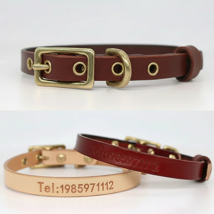 Collier Pour Chien En Cuir Véritable Personnalisable