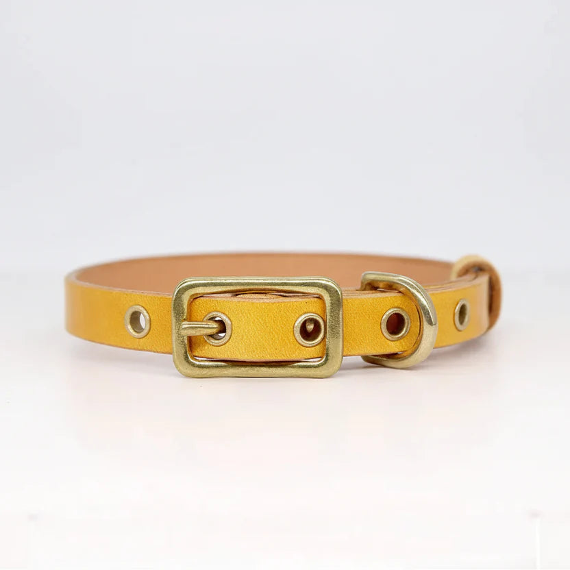Collier chien cuir personnalisable jaune avec boucle en métal pour un ajustement parfait