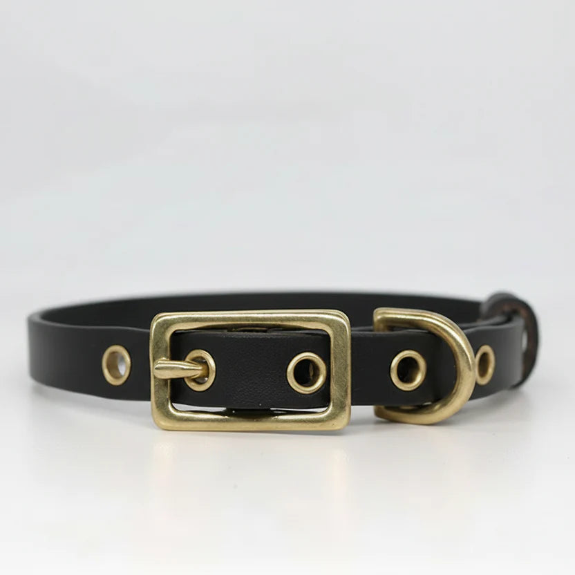Collier chien cuir personnalisable noir avec boucle dorée et œillets pour un ajustement parfait