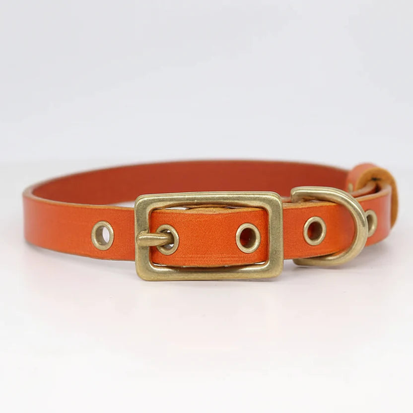 Collier chien cuir personnalisable orange avec boucle en métal pour un ajustement parfait