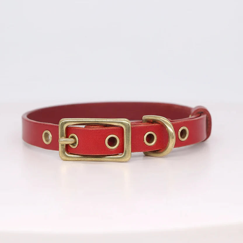 Collier chien cuir personnalisable en cuir rouge avec boucles en métal doré pour un look élégant