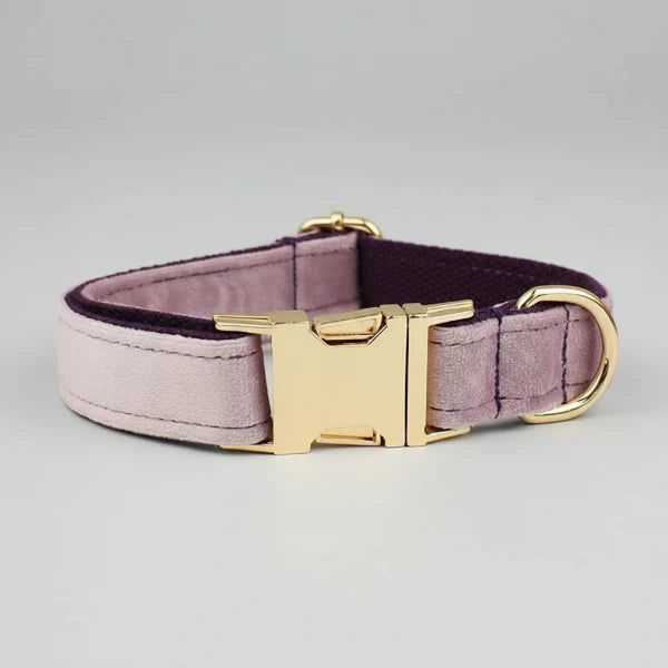 Collier chien en velours personnalisable avec boucle dorée et finition premium par Oscar et Plume