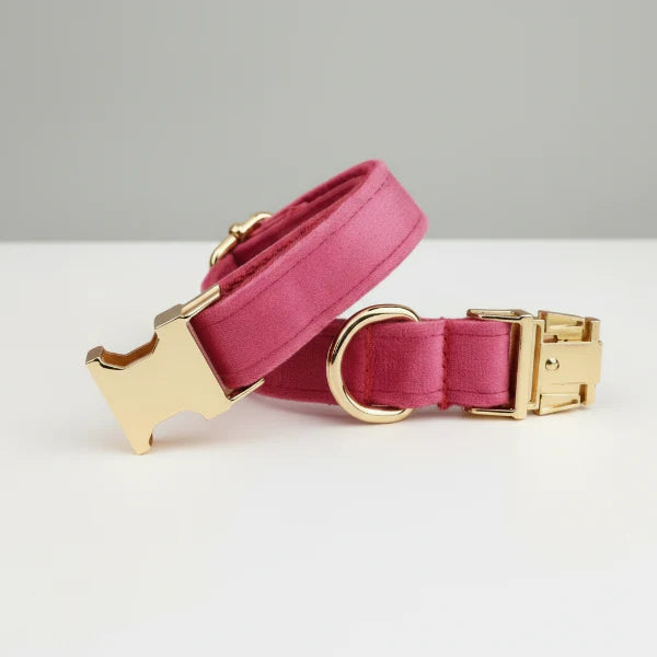 Collier velours pour chien personnalisable - Élégance et confort