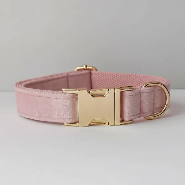 Collier velours pour chien personnalisable - Élégance et confort